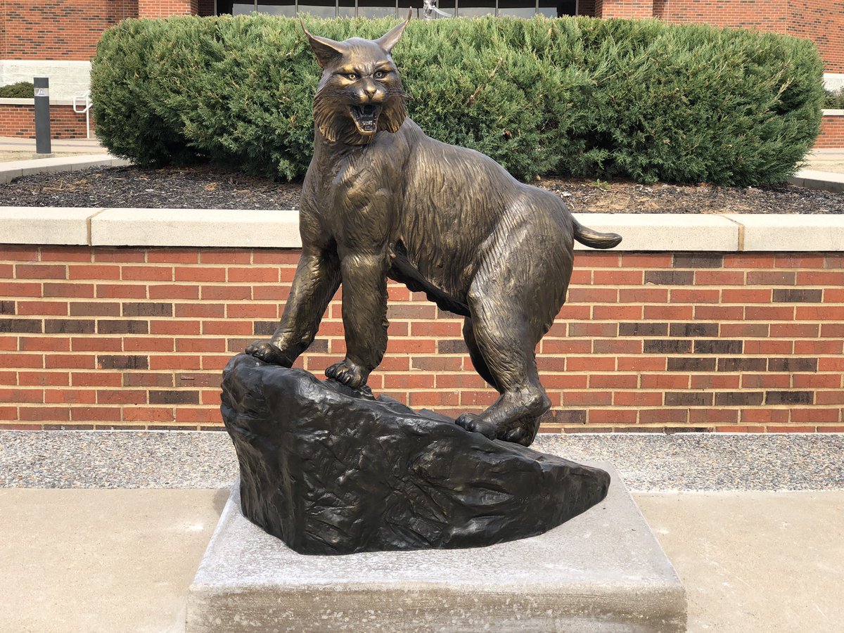 BethelUniv's tweet photo. We have an exciting addition to our campus—the new Wildcat! Thanks to SGA for this wonderful gift. Stop by, take a photo and tag us. https://t.co/bWIA16LJKa
