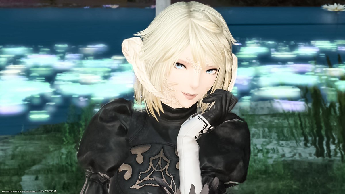 Cecilia Ixion 怒った顔もかわいいっ アウラ イイとおもうますっ アウラ メスラ おやウラ 前角倶楽部 Ff14 アウラの鱗は美しい