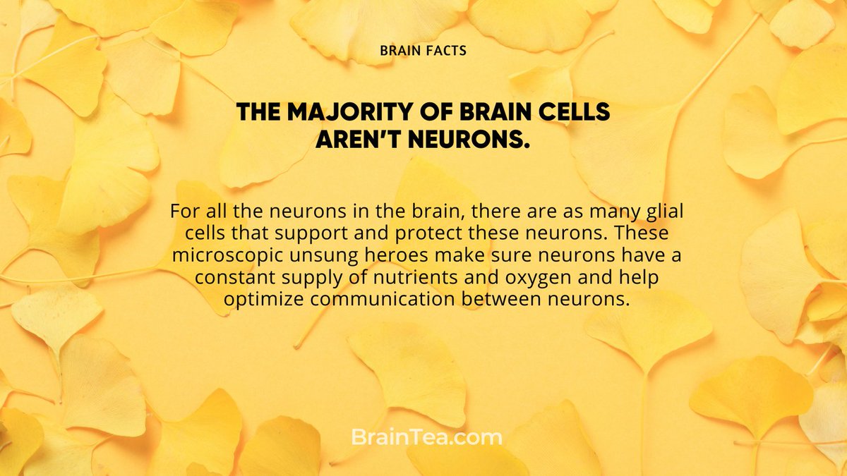 OrganicBoost's tweet photo. The majority of brain cells arenโt neurons.
#brainfacts #interestingfacts #braintea https://t.co/7eDfHvCkqt