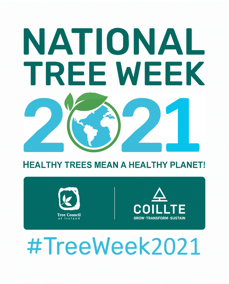 dlrcc's tweet photo. 🌴 🌳 🌲 🍃 
National Tree Week takes places from March 21st - 27th and the Tree Council of Ireland are hosting a series of webinars throughout the week! Click the link for full details!
🌴 🌳 🌲 🍃

https://t.co/SSWNmqpsqR

#TreeWeek2021 #Trees https://t.co/TmF1WlNmP7