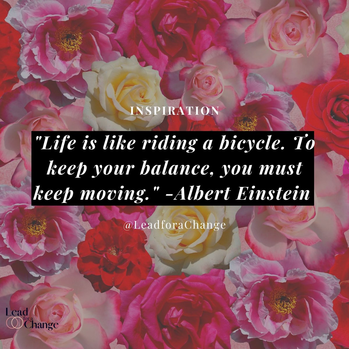 Lead4aChange's tweet photo. Inspiration for the week! https://t.co/54bpPQ0SqS