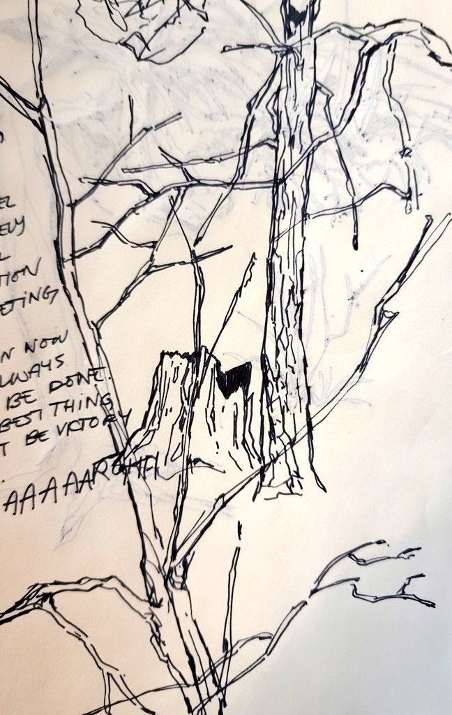 went hiking for the first time in a couple months yesterday and i didnt get around to painting but i did scribble some trees and stuff. v nice weather