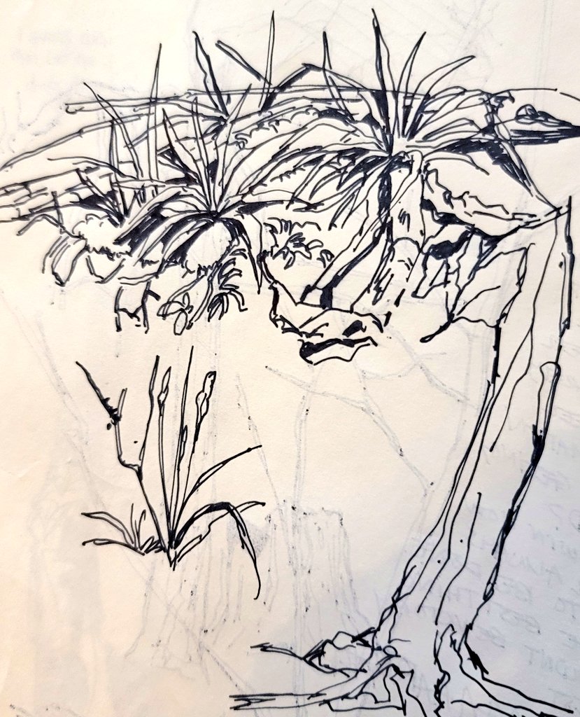went hiking for the first time in a couple months yesterday and i didnt get around to painting but i did scribble some trees and stuff. v nice weather