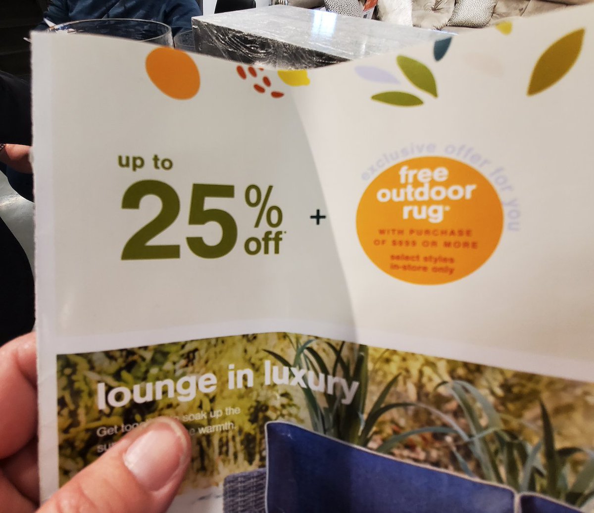 RookieDomainer's tweet photo. @AshleyHomeStore Here's the ad for free OUTDOOR rug that can only be redeemed IN STORE, yet outdoor rugs are not in store. 🤔 https://t.co/DqfAXfXT4G