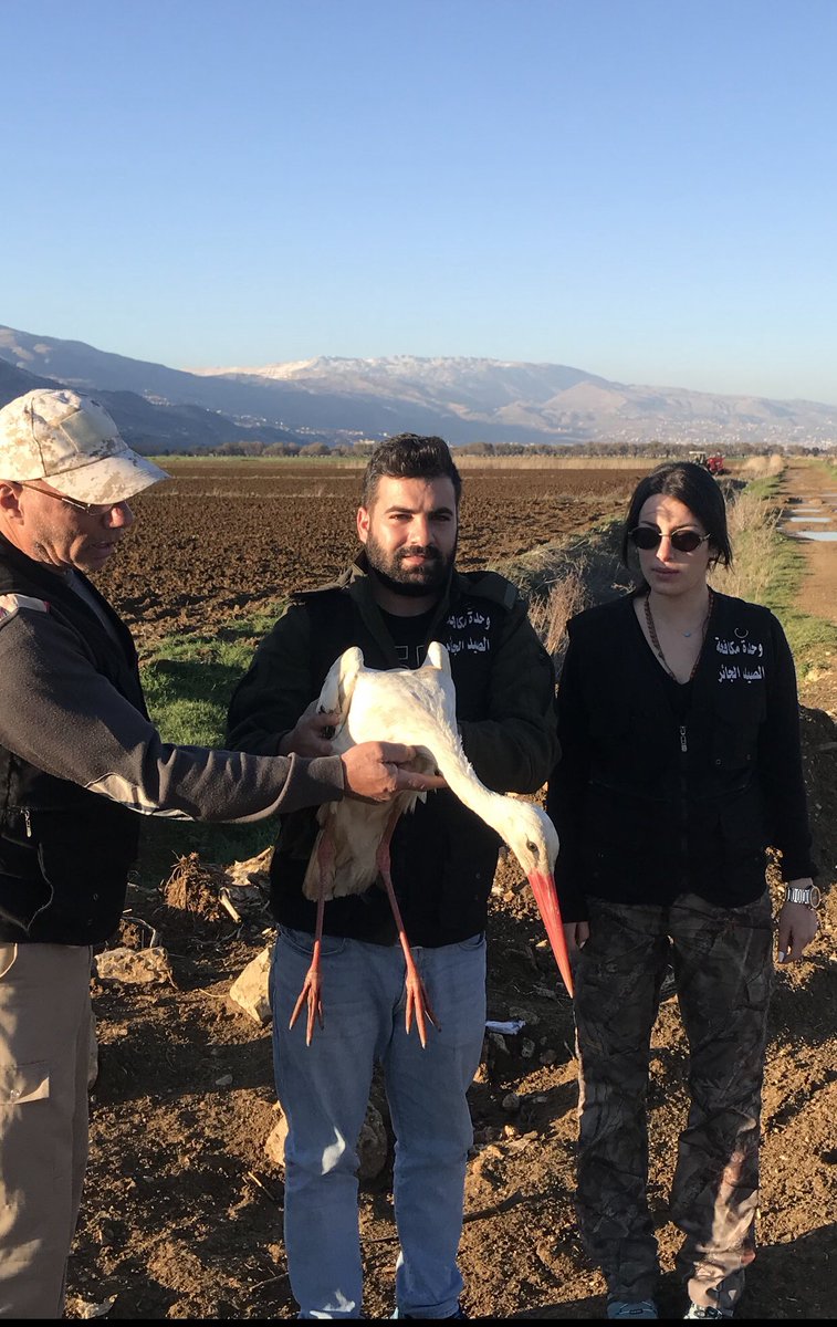 Committee Against Bird Slaughter (CABS) tweet media