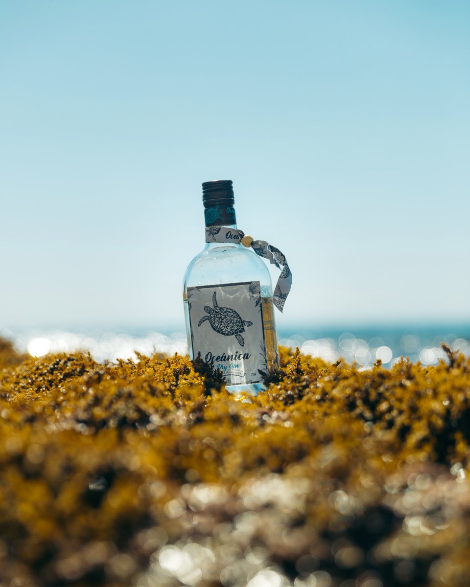 oceanicagin's tweet photo. Turn your Monday 🍸🌊🤙

#wordwaterday #FelizLunes #DiaMundialDelAgua #FelizSemana https://t.co/m8JI1YSH0V