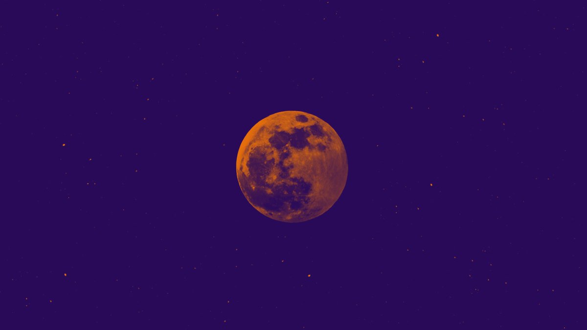 HOME_mcr's tweet photo. Leaphia Darko's The Very Error of the Moon (@thelondonrep) uses Shakespeare's Othello as a jumping off point and was filmed entirely on smartphones during the pandemic https://t.co/0OyJNrY3MK https://t.co/MJwcT442lN