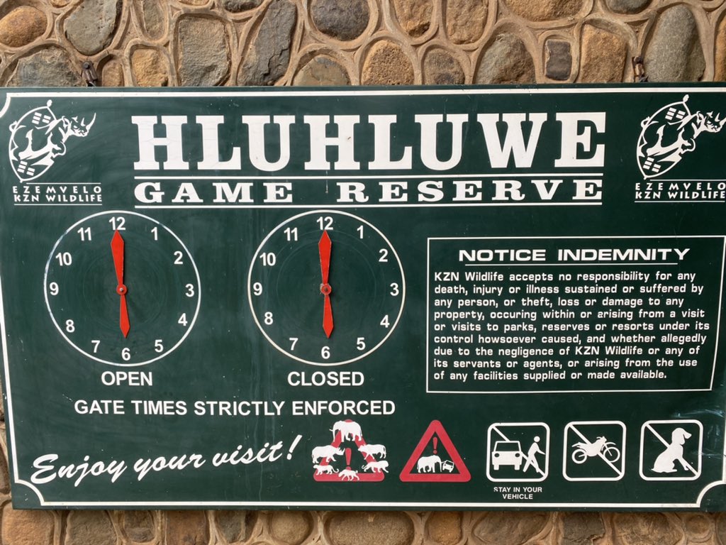 AndreaFuller06's tweet photo. After a 1-year COVID-enforced delay, happy to be in Hluhluwe, ready to start the “Hot Dogs” project early tomorrow morning. #TeamWildDog https://t.co/KCg4AudLk1