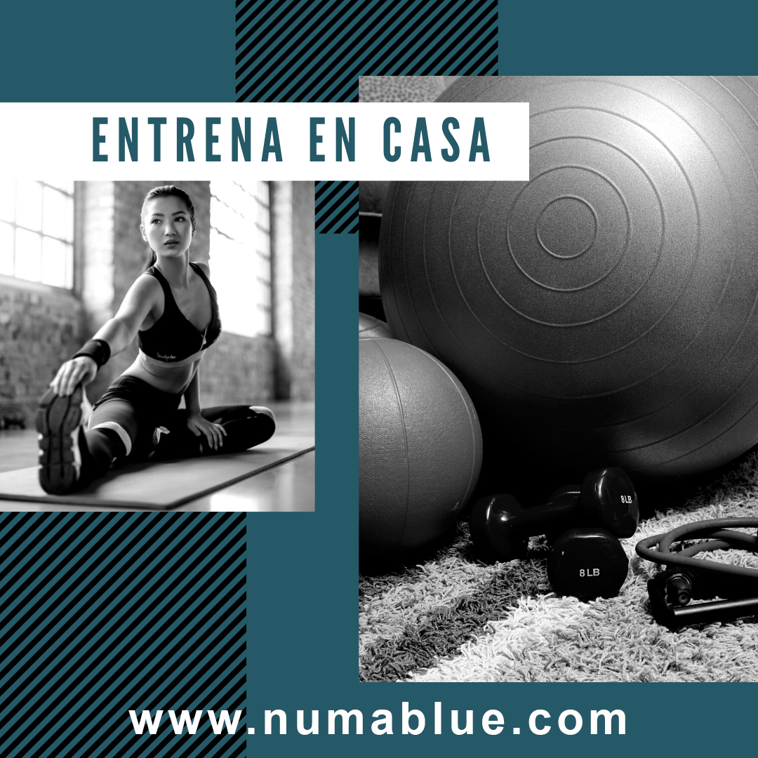 Numa_Blue tweet media