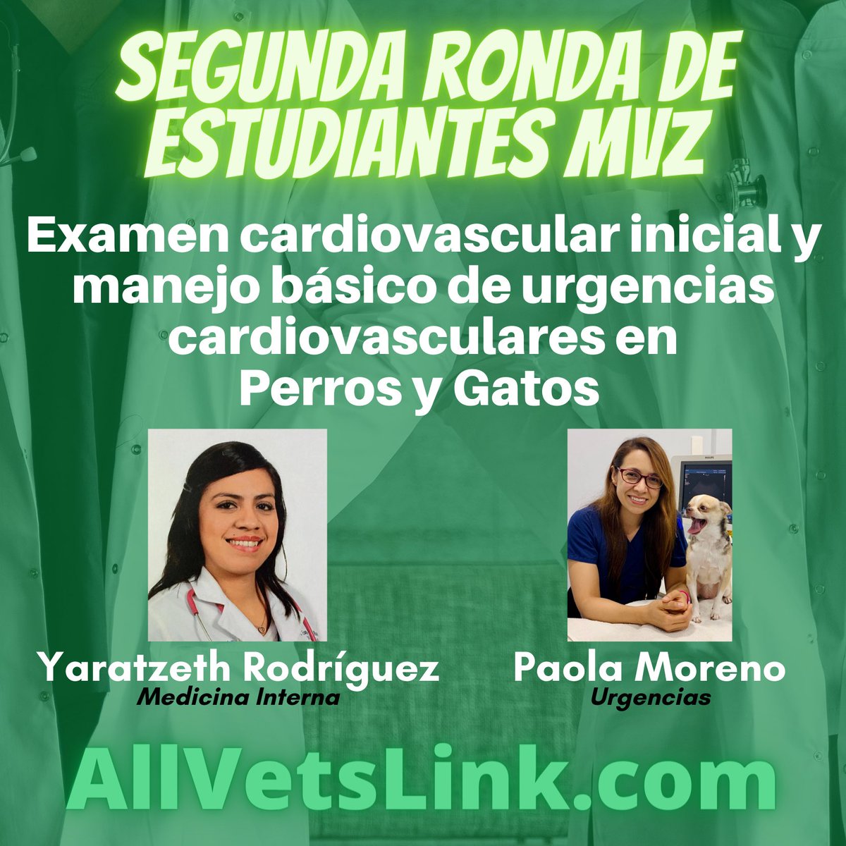 Únete a nuestra Segunda Ronda de #EstudiantesdeMedicinaVeterinaria sobre Examen Cardiovascular Inicial y Manejo Básico de Urgencias Cardiovasculares en Pequeñas Especies el próximo 25 de marzo

allvetslink.com/rodas-para-est…