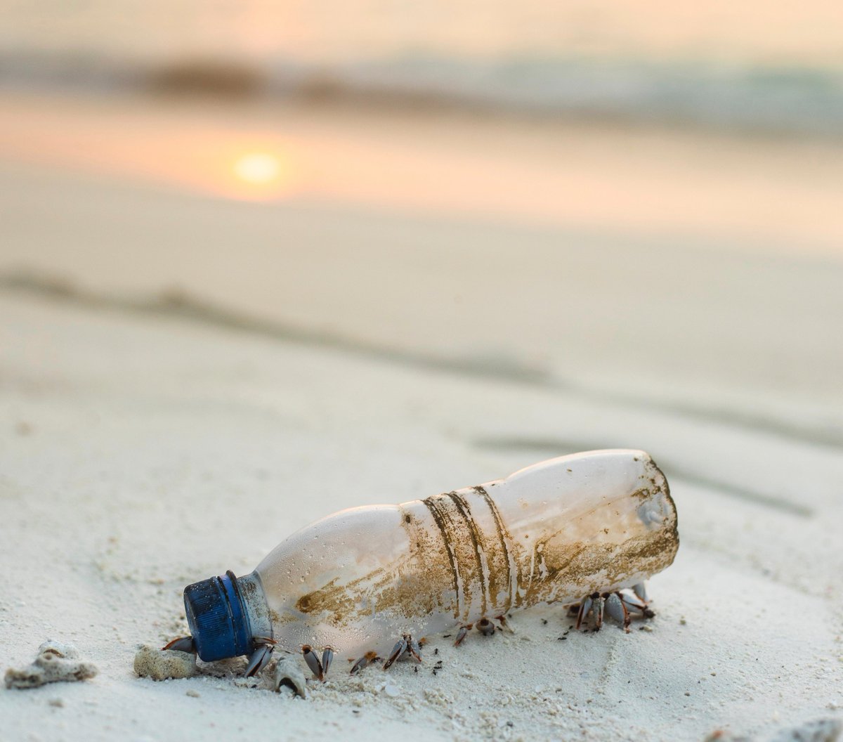 JustBoardedLtd's tweet photo. Challenge de la semaine : ramassez au moins 1 déchet par jour et jetez-le à la poubelle ou recyclez-le si possible. ♻️ Qui participe ? Taguez @JustBoardedLtd &amp; #justboardedchallenge si vous relevez le défi ! https://t.co/d7I9Ms3r9F