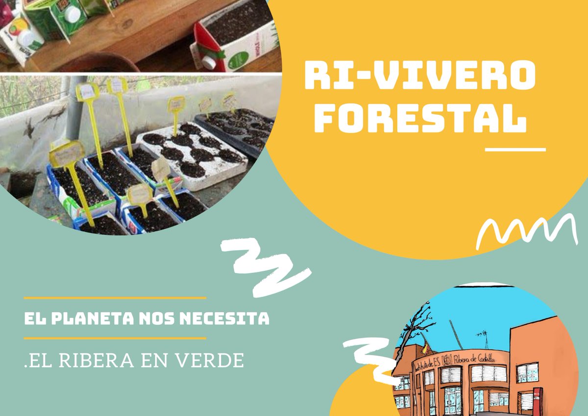 IES RiberadeCastilla tweet media
