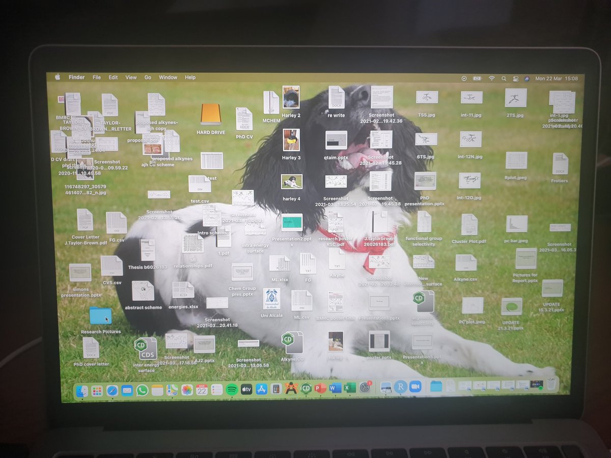 Joshteebee's tweet photo. This pleases me! Finally can see the doggo through all the clutter https://t.co/RxuUifmKdU