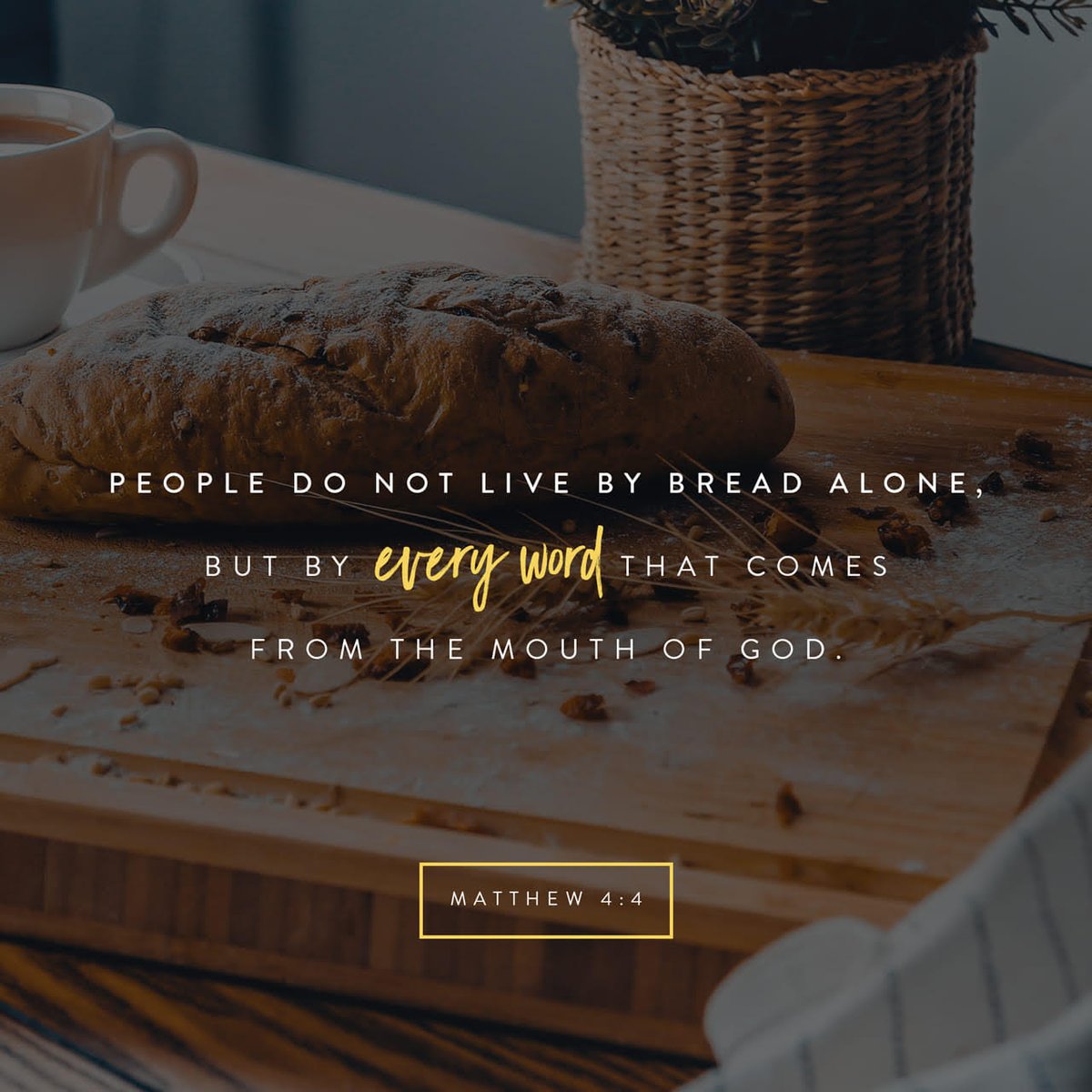 Are you hungry? Feed on God's Word...
#mondaymotivation #made2thrive #loveinctusc