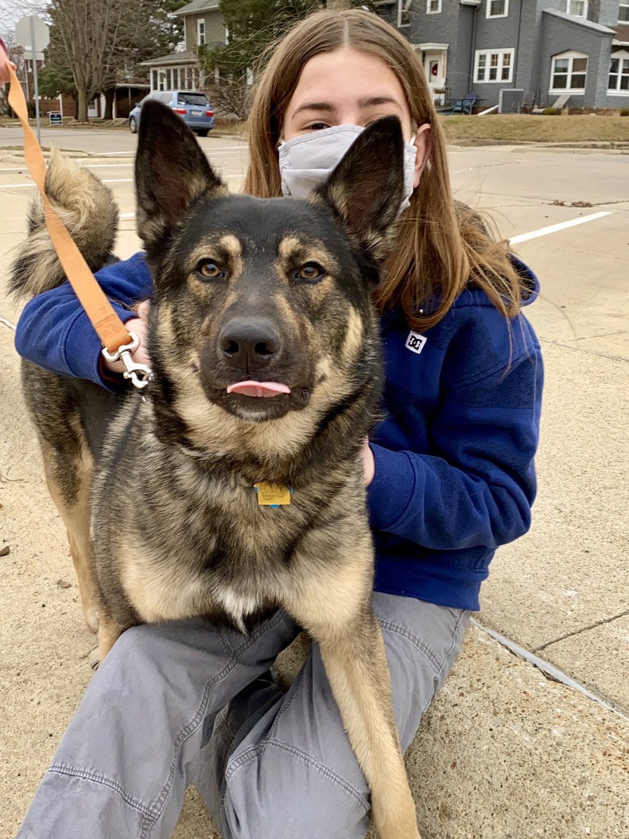 IvePetThatDog's tweet photo. I pet Flynn Ryder. He is only 1 and was adopted last month. He loves walks because he can sniff every rock and tree. Walks can take a long time. He loves seeing kids and is very friendly. The one thing he doesn’t like is cars driving by. He thinks pick-up trucks are the worst. https://t.co/NKyY2kXJtR