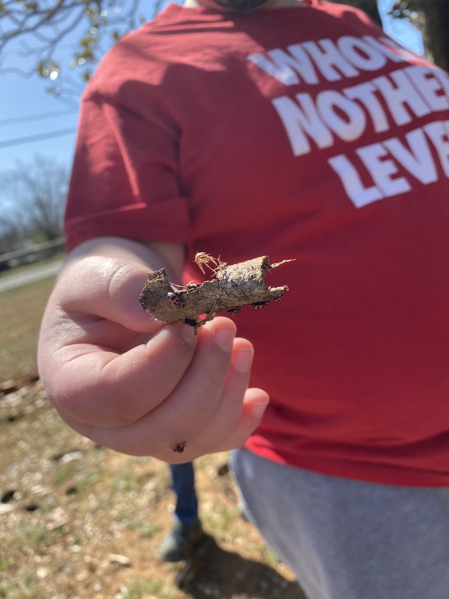 EMHWildcats's tweet photo. #Spring was full of surprises during our recess today.  My third grade scientists, from cohort A, discovered some insects and were so excited about their discovery.  ❤️After they observed them they made sure to return them back to their family so they would remain safe. 🐞 https://t.co/uKwmk2PsSw
