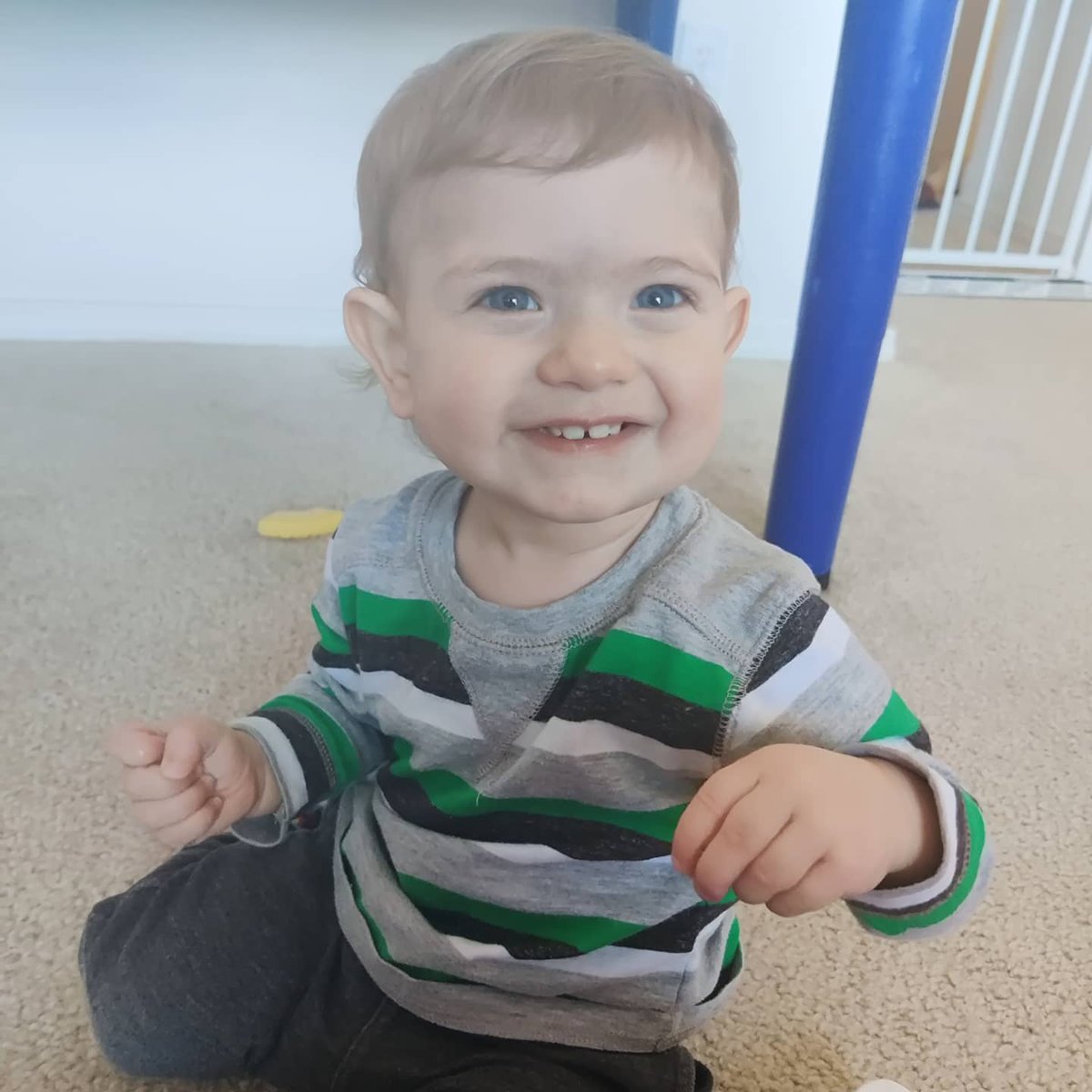 Hello_faf's tweet photo. In the meantime....check out this cutie! He is such a big boy now!!!! 😭😭 https://t.co/4qNLrMPLtc