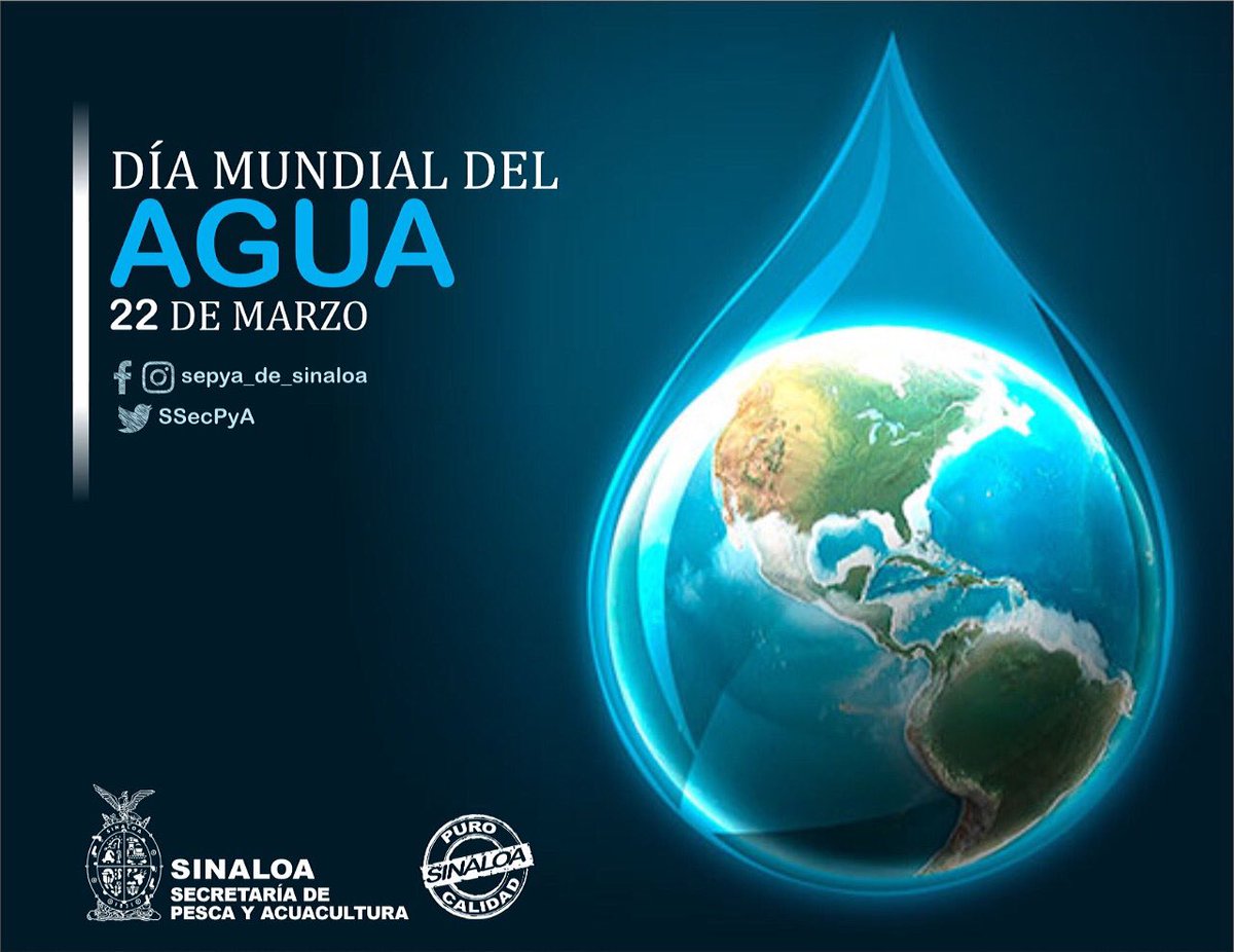 El Día Mundial del Agua se celebra el 22 de marzo de cada año y su principal objetivo, es crear conciencia en el hombre de la importancia de cuidar el llamado oro líquido para la vida de los seres humanos y las especies en la Tierra. #agua #vida #salud #productividad #purosinaloa