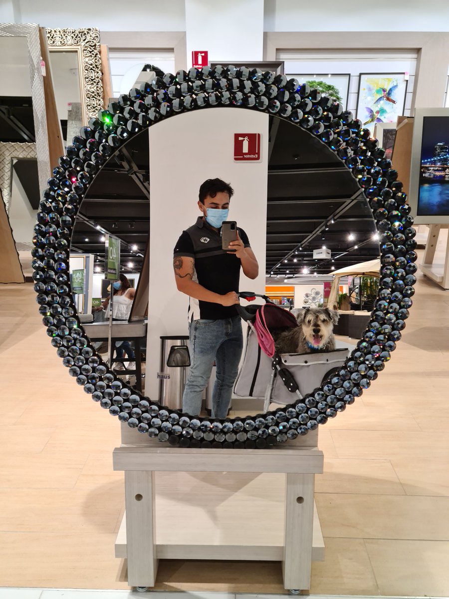 xanderr00's tweet photo. Gracias a @liverpoolmexico @LaIslaMerida por dar el ejemplo #Petfriendly 🐶 Esta vez #Luky no nos extraño en casita! https://t.co/XcmUJkLCWG