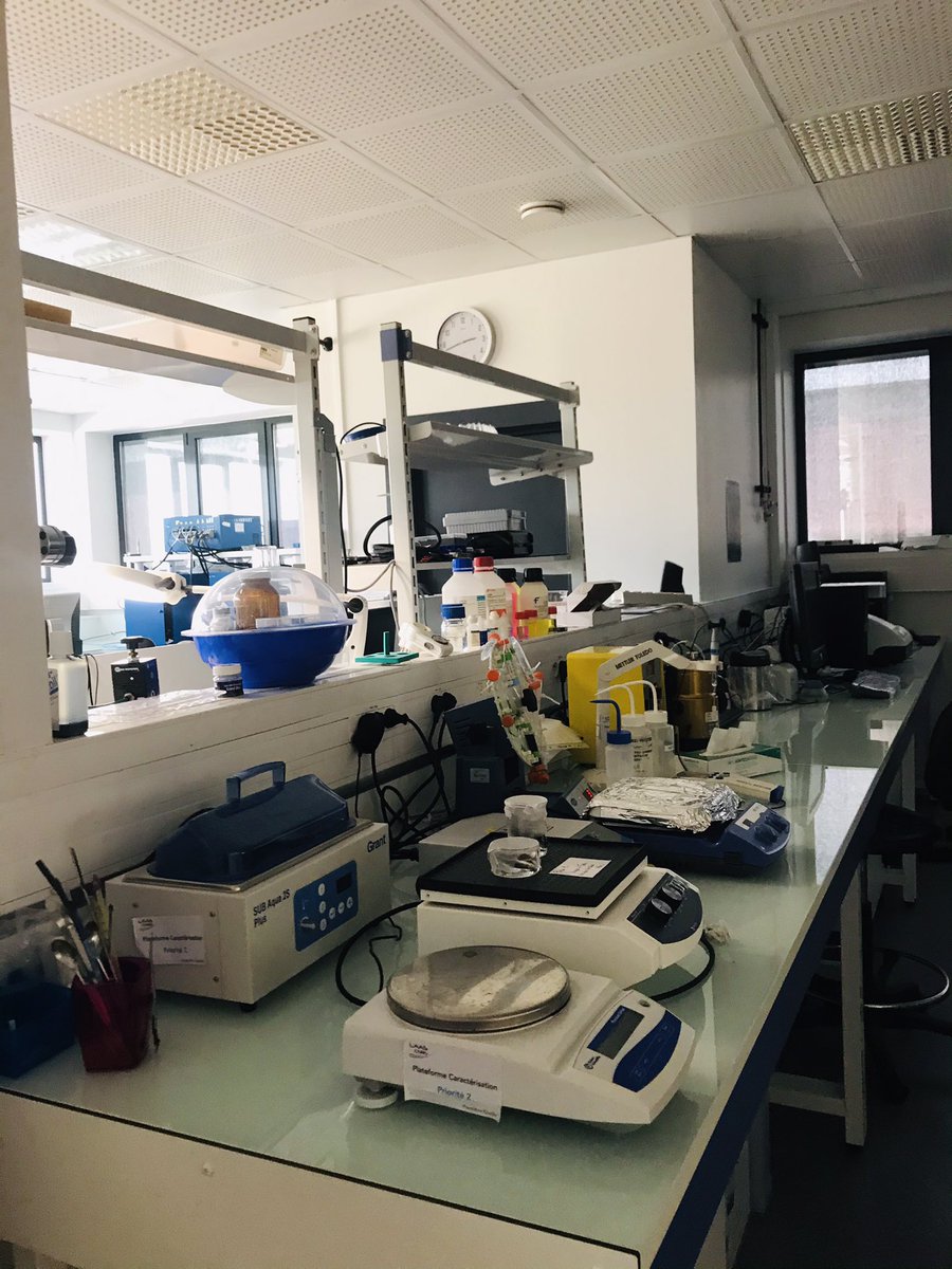 Industrialization of AOP next high-impact applications (anti-inflammatory, anti-aging, anti-pollution, UV protection, blue light protection, hair protection, skin whitening). It all happens there with our outstanding team 🚀☀️
#AOP #LUCS #antioxidantpower #biotech #frenchtech