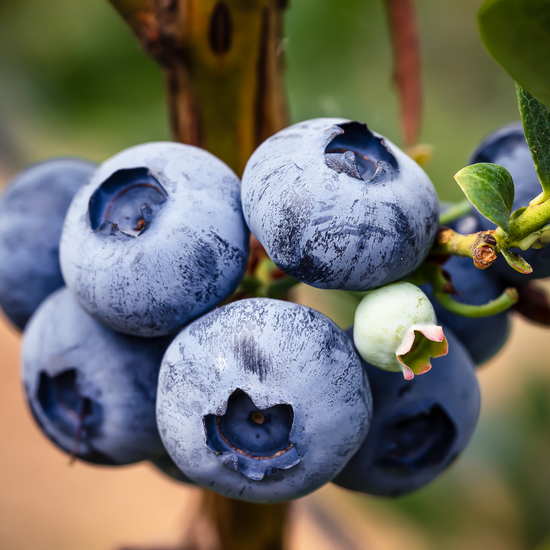 This World Water Day, we’re proud to release a formal #WaterStewardship statement that outlines our business-wide objectives to focus on both #WaterQuality and water quantity. ⁣Read our water stewardship statement here: bddy.me/31d7IwB

#WorldWaterDay⁣