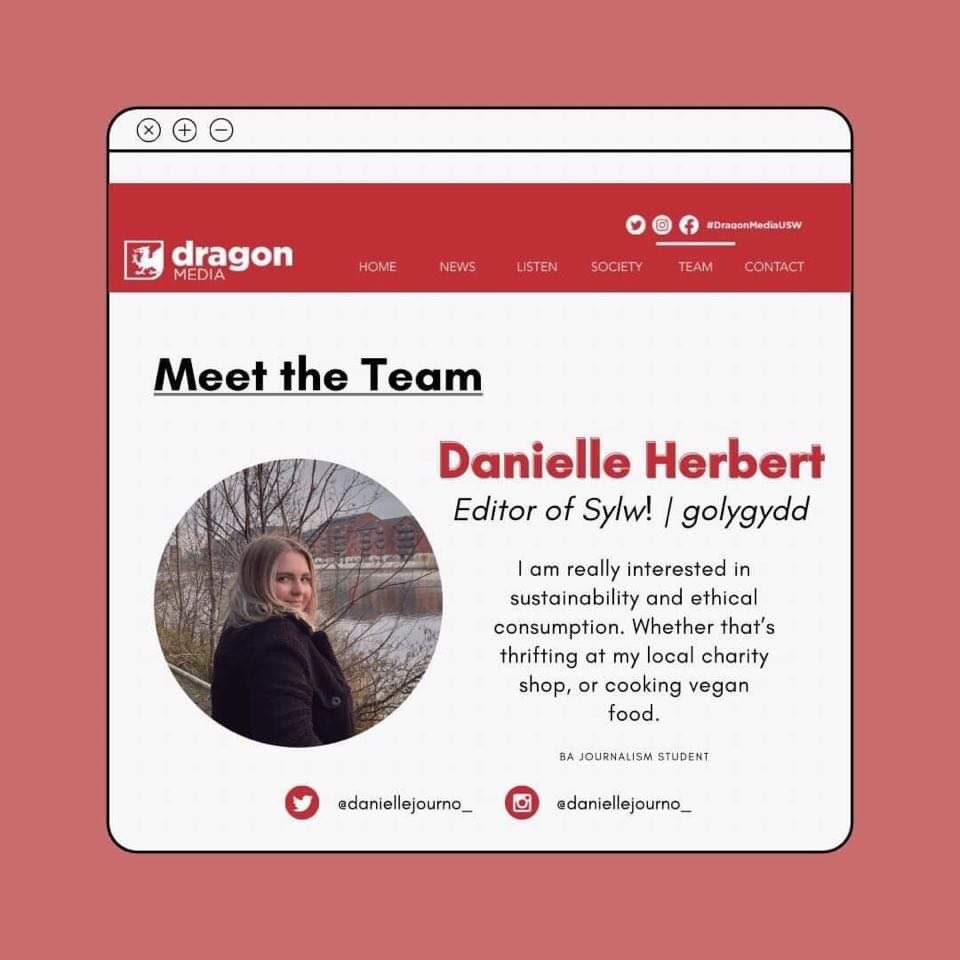 DragonMediaUSW's tweet photo. Meet @daniellejourno_ the editor of Sylw here at @dragonmediausw 📰

Find out more at https://t.co/UIXBg243Th 

#DragonMediaUSW #StudentJourno https://t.co/exrVfwNgGm