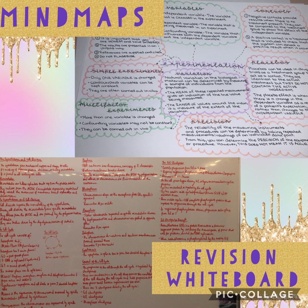 Braes Biology tweet media