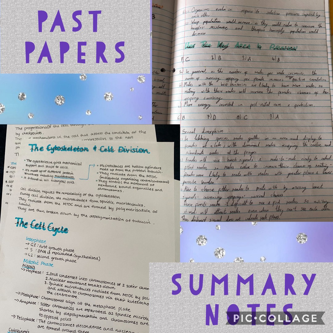 Braes Biology tweet media