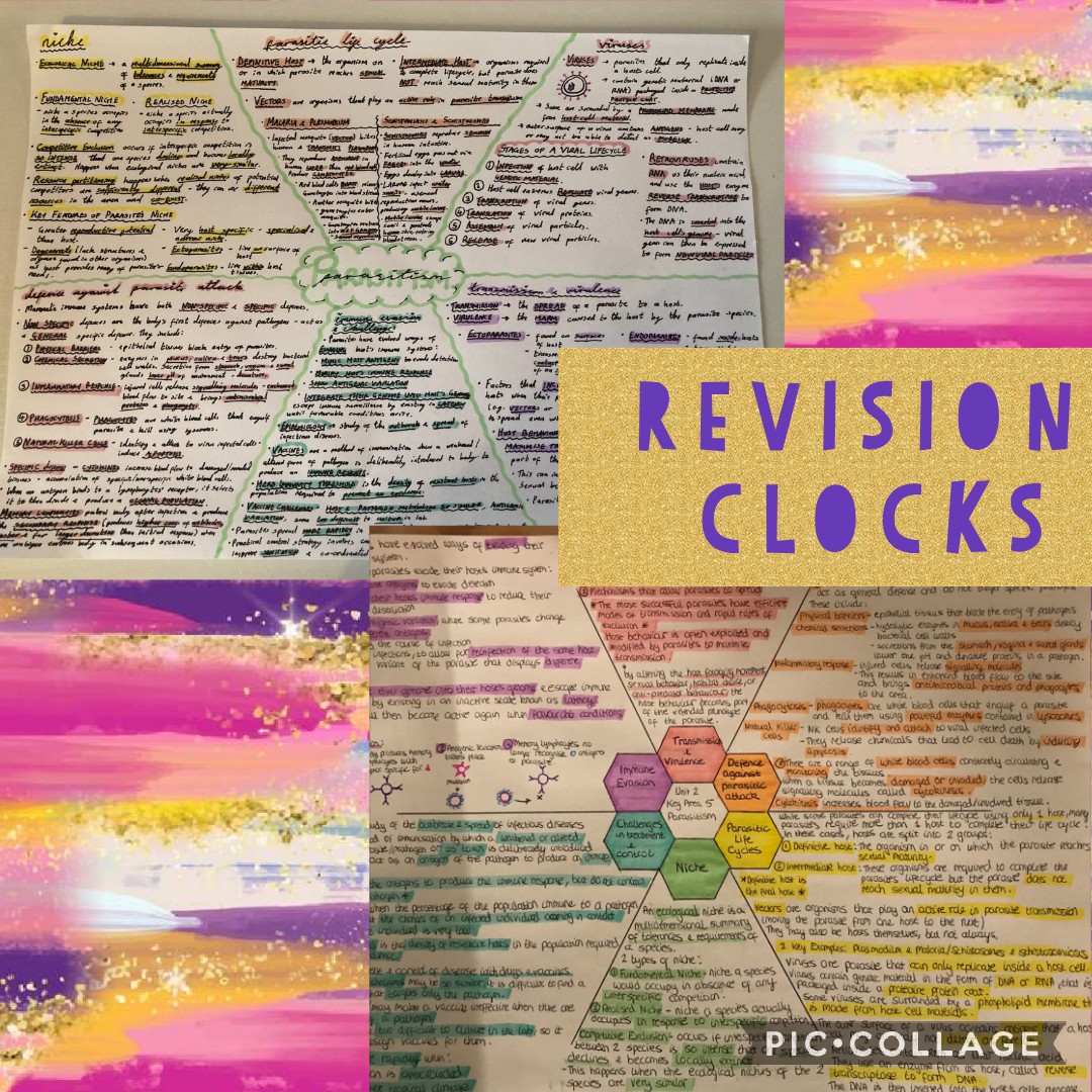 Braes Biology tweet media