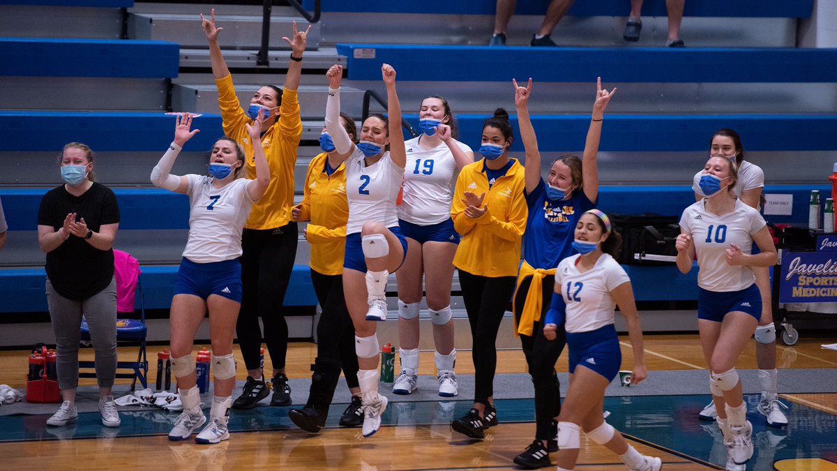 JavelinaSports's tweet photo. Our mood because the #LSCvb tournament is set to begin this week: 

#GoJavelinas x #GottaJavIt 🏐 https://t.co/gA1tauwkBl