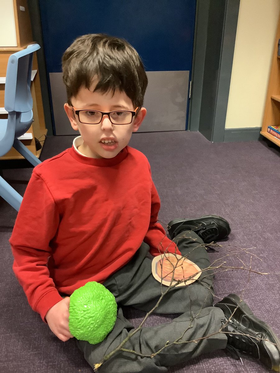 GreenFoldSchool's tweet photo. Our fantastic @NTProgramme phonics tutoring continues - today a focus on poetry for #WorldPoetryDay as the children used the poem #nutree by #juliadonaldson to segment and blend - very well done! #reading #progress #SEND #phonics @TheRealGruffalo https://t.co/8h1eKjZzQF