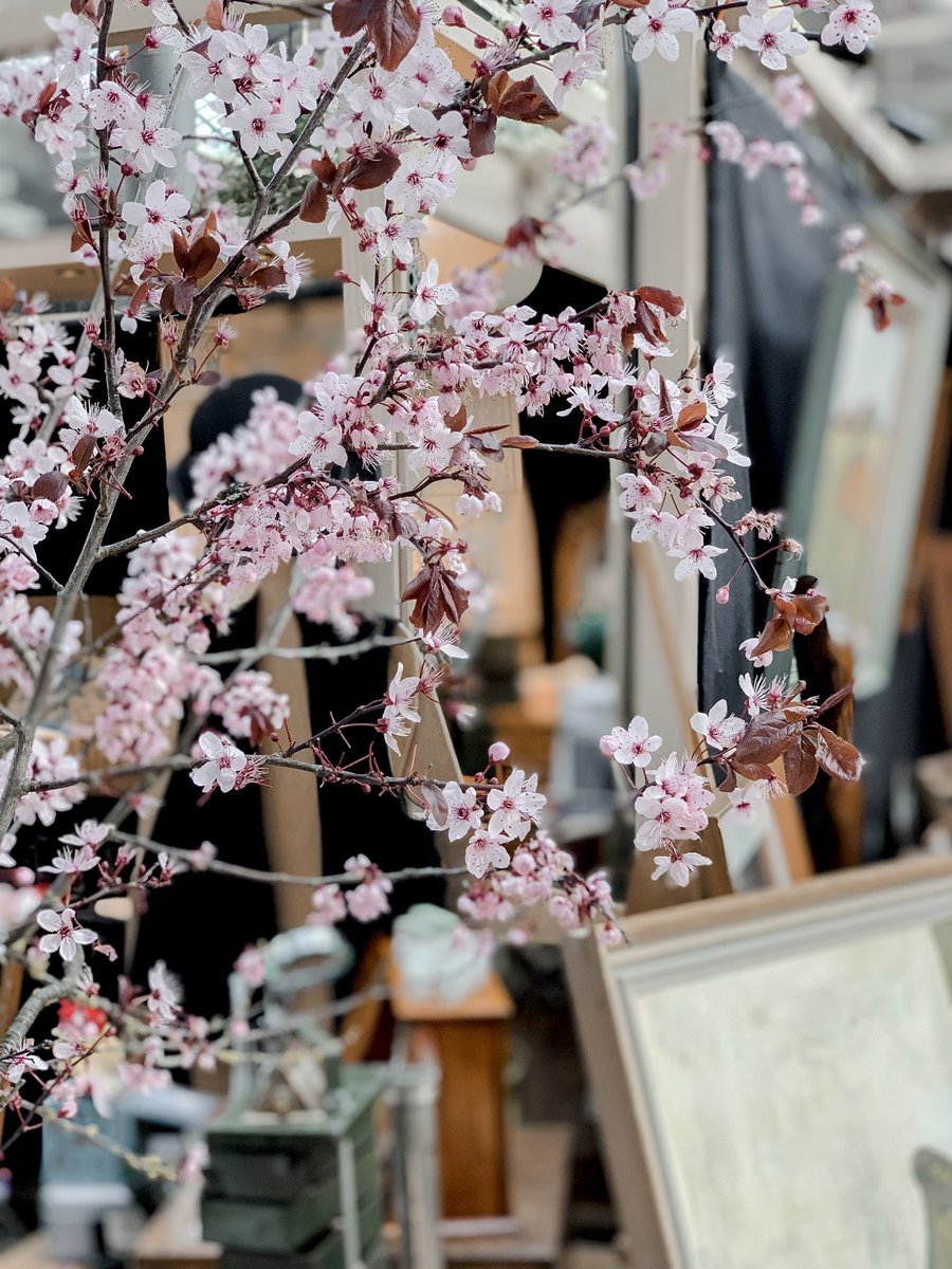 Spring is in the Spitalfields air and we can't wait to safely open our gates again. We've missed having the Market full of life. Watch this space for full details of our reopening... #seeyousoon #oldspitalfieldsmarket