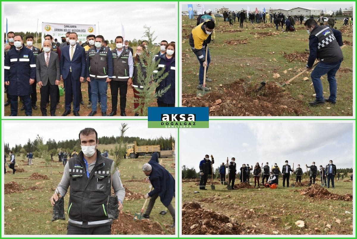 AksaSanliurfa's tweet photo. 21-26 Mart Dünya Ormancılık Günü kapsamında düzenlenen fidan dikim etkinliğine #OrmanHaftası münasebetiyle katılım sağladık. Temiz bir nefes için bu topraklarda umutlar tükenmez. 💚🌱🌳  kutlu olsun.
@YASARARSLN1 @alperkonyali @UrfaValiligi @hrumedya @sanliurfaobm https://t.co/ddoJqgjBgh