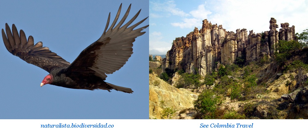 MELANIM_SAS's tweet photo. @Orlandomolano71 El Área Natural Los Estoraques es catalogada como única en su tipo por sus bellos paisajes quebradizos y erosionados, se compone de gigantescas formaciones geomorfológicas esculpidas y su tamaño puede llegar a ser de hasta 30 m de altura……
https://t.co/kqpGVKe6hy https://t.co/zh8ZWPkx6h