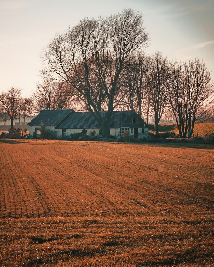 A house is made of bricks and beams. A home is made of hopes and dreams...

.
.
.
.
#moodygram #moodyvibes #moodytones #ilovephotography #photographerslife #moodytoning #moody_tones #moodyedits #moodphotography #moodygang #moodyphotography #moodyfilm #ourmoodydays #moody_art…