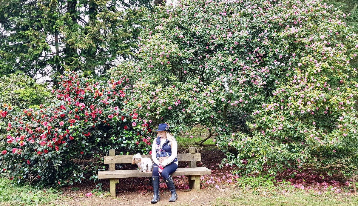 lovebirdmakeup's tweet photo. π Letβs take our hearts into the woods π³
& listen to the magic whispers of old trees ...
#westonbirtarboretum @WestonbirtArb #friendsofwestonbirt #welliewalks #blossomwatch πΈ πΆ https://t.co/C97dAOMWrq