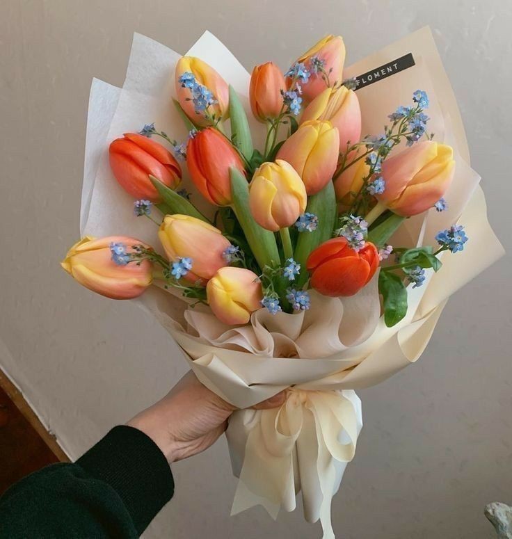 Vaaaaaaaaal__'s tweet photo. una cosa... y lo bonitos que son los ramos de tulipanes?💐 https://t.co/t5HXwCkPbx