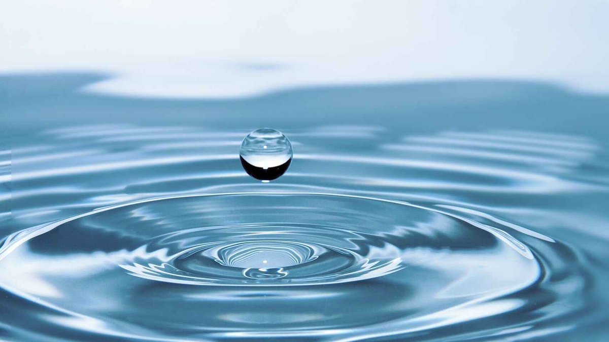 lionwebsmx's tweet photo. ¡Hoy Lunes 22 de Marzo es el #DíaMundialDelAgua!
El agua es el recurso natural más importante, vital y necesario. Cuidemos de ella.
#FelizLunes Excelente Lunes El 22 #feliziniciodesemana #BuenLunes #siguemeytesigo #followback #SDV #LionWebsMx https://t.co/AkukFXlmt8