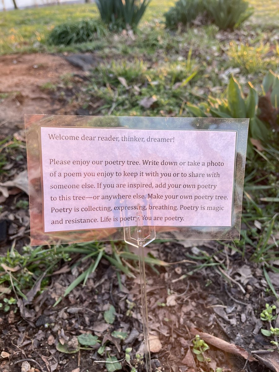 mshartlinerps's tweet photo. Had a beautiful weekend in Chimborazo Park helping friends create a poetry tree! I encourage you to go check it out and add on! @ChimborazoES @chimbopta https://t.co/q4EmxXRCxv
