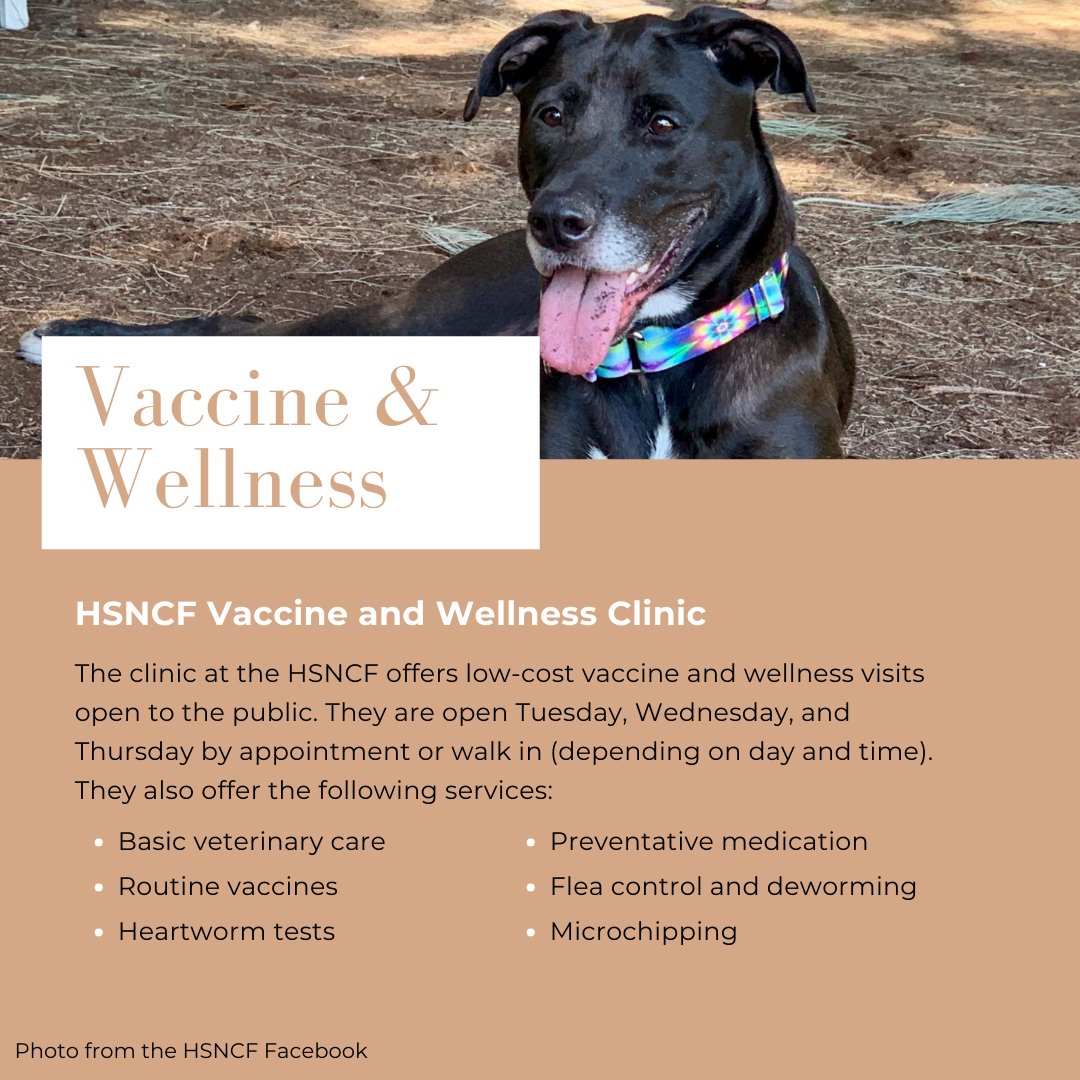 UniversityFur's tweet photo. Make sure your pet is up to date on their vaccinations! The HSNCF has a great clinic https://t.co/pY43k7PfEm