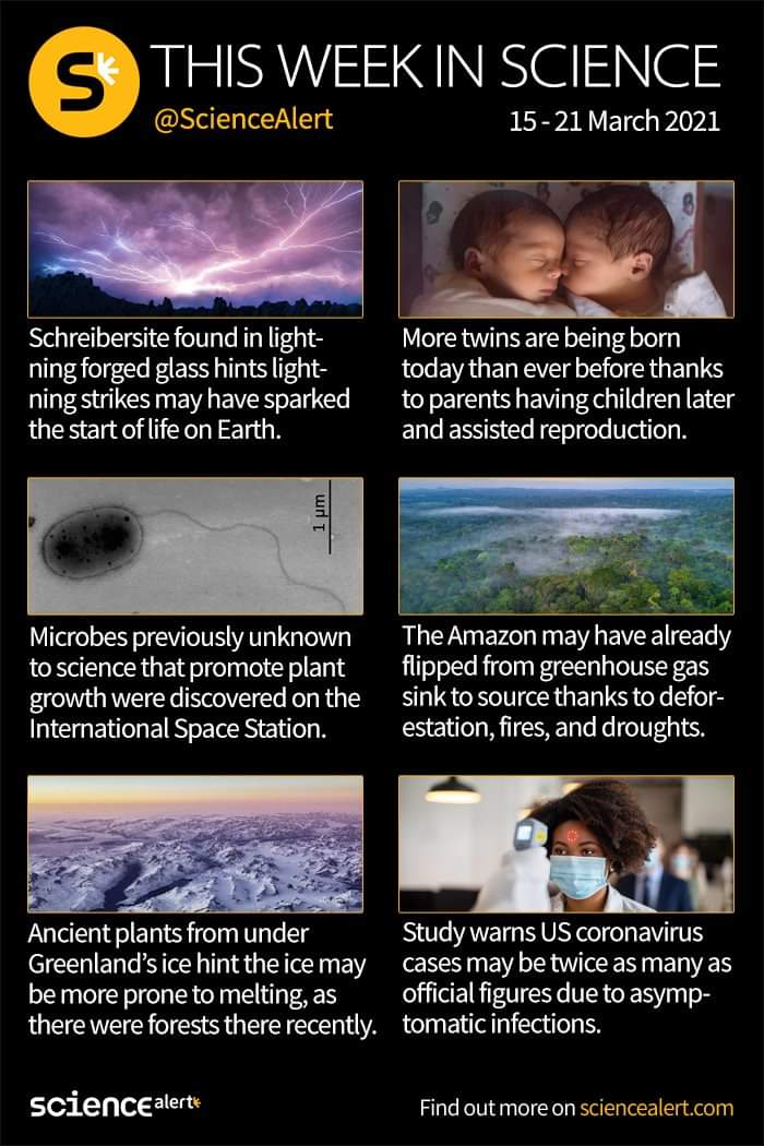 Hodgson Science Dept (@hodgsonsci) on Twitter photo 