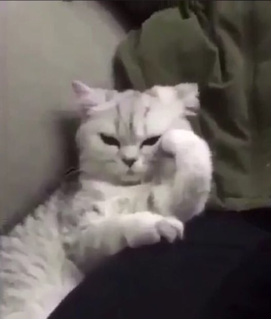 الجازي العنزي tweet media