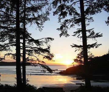 Colleen Castonguay tweet media