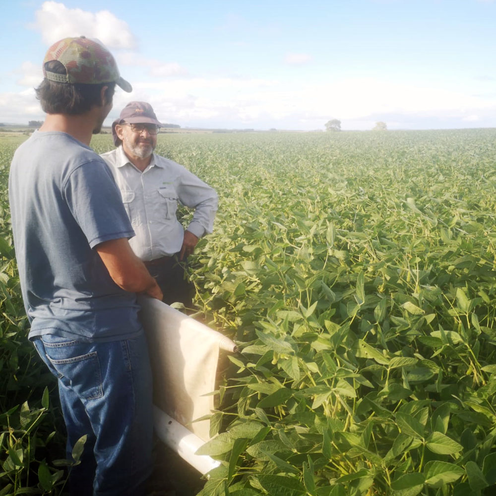 agromil_ltda's tweet photo. 🌱🚶♂️Recorrida de #soja en 📍Pirarajá, con aplicación de #BayerCripton y #VitaGrowRizobacter con @RizobacterU y @ScaglioniFelipe https://t.co/15TRFWxc7H