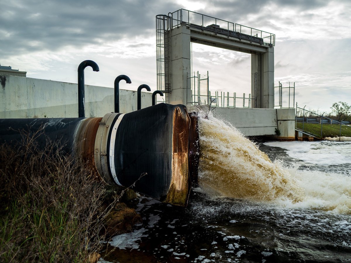 GoodMiami tweet media