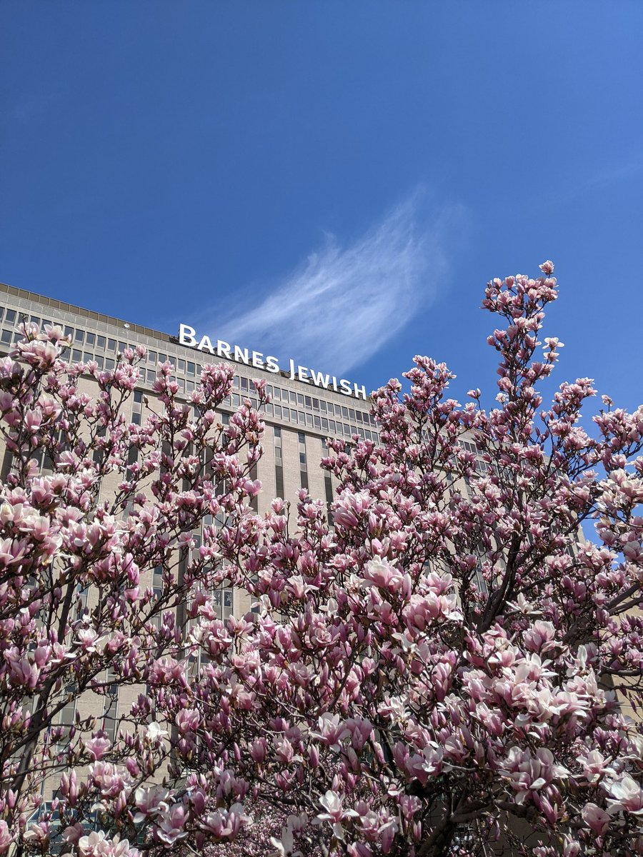 Michael Watts tweet media