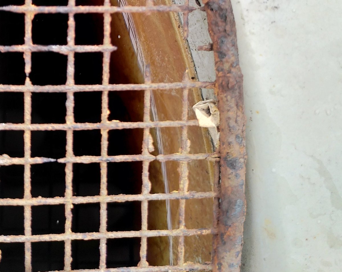 MarzingerMartin's tweet photo. Grid in a Circle

Ästhetik und Form-Recherche:
Schwarz(es Regenwasser), Grau(e Halterung), Braun( gerostetes Eisen);
Linien, Quadrate, Teile eines Kreises;

#Linz #viskom #typedaily #ashtray 

@typedailytype https://t.co/xaHBVv1Jj2