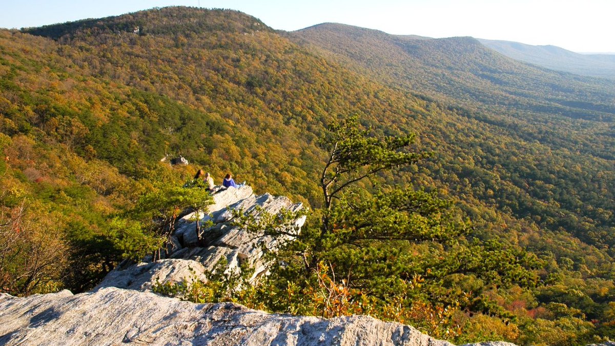 hiiker__'s tweet photo. The Pinhoti Trail is a great way for the uninitiated to discover the art of thru hiking!
https://t.co/XjtdR1U37K
#pinhotitrail #pinhoti #trekkingfever #trekkingtravel #topofthemountains #alabamaoutdooradventurer #hikingadventures👣🧗🏼♀️🏔🌤 #hikingadventures⛰ #backpackingtrips https://t.co/UyFcGCnD7A
