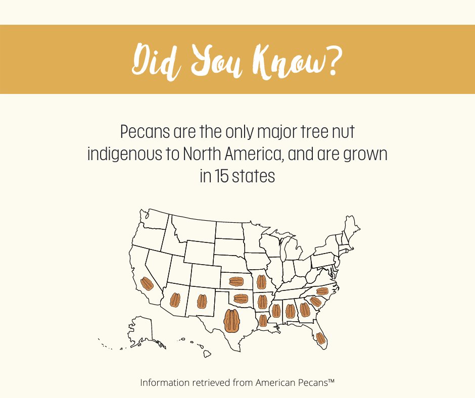 TXPecanGrowers's tweet photo. Did you know that pecans are grown in 15 different states?
#texaspecans https://t.co/u0sIUoHpBX