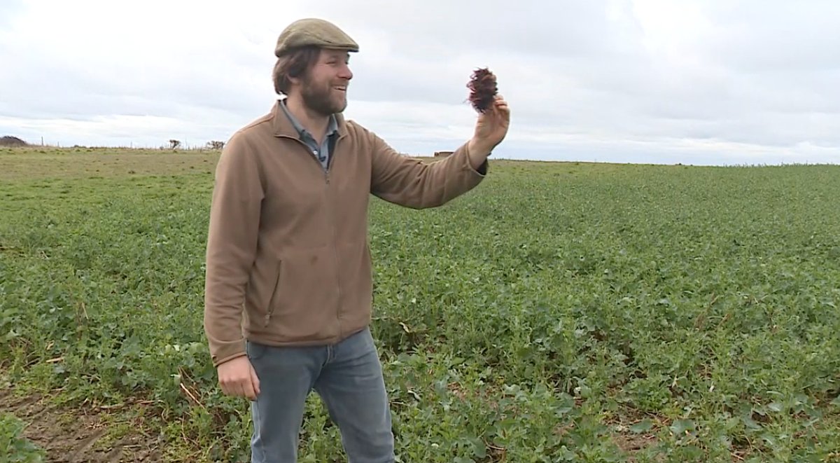 jamesjdunham's tweet photo. Forget FaceTime, introducing Farmer Time! ๐ต
On @itvmeridian at 6pm how @Farmer_Tom_UK (in Peterborough) is using technology to teach the children @HarbourPrimary (in Newhaven) a thing or two about rural life...
You can also watch the report here โคต๏ธ
https://t.co/0uYjFwpMrM https://t.co/fwZjFqWfYo